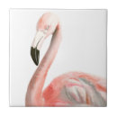 Search for flamingo tiles Bird