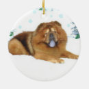 Search for chow christmas tree decorations Pet