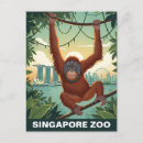 Search for zoo postcards Animal