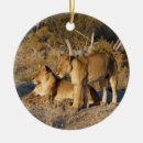 Search for lioness christmas tree decorations Wildlife