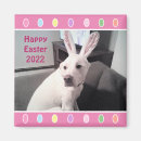 Search for funny eggs magnets Adorable
