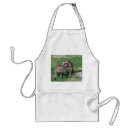 Search for australian aprons Marsupials