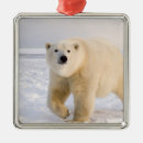 Search for refuges christmas tree decorations Fauna