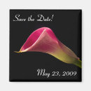 Search for callas magnets Flower