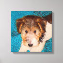 Search for wire fox terrier art Wft