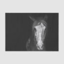 Search for horse tissue paper Western