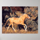 Search for galloping posters Ranch