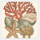 Search for sealife stickers Starfish