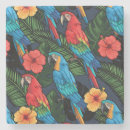 Search for macaw coasters Exotic