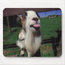 Search for funny goat mouse mats Humor