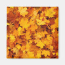 Search for season magnets Autumn
