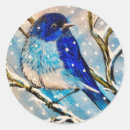 Search for bluebird stickers Winter