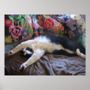 Search for kittis art For kids