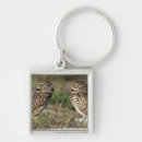 Search for burrow key rings Bird