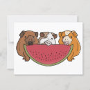 Search for pet food postcards Funny