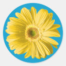 Search for gerbera daisy stickers Yellow