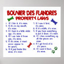 Search for bouvier posters Dog