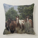 Search for mustang cushions Wild
