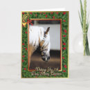 Search for haflinger horse cards Equine
