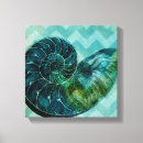 Search for spiral canvas prints Seashell