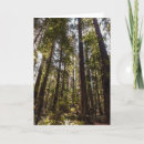 Search for humboldt cards Redwoods