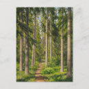 Search for sunlit postcards Green
