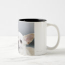 Search for chihuahua mugs Animal