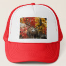 Search for red deer hats Nature