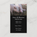 Search for pig farm business cards Farming