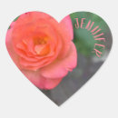 Search for coral rose stickers Pink