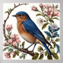Search for bluebirds posters Wildlife