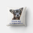 Search for chihuahua cushions Humour