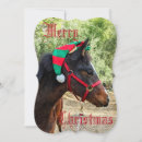 Search for colt christmas cards Equine
