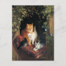 Search for cats and kittens postcards Cute