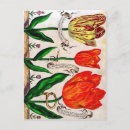 Search for botany postcards Illustration
