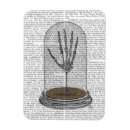 Search for skeleton magnets Steampunk
