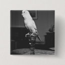 Search for b w badges Bird