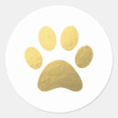 Search for dog labels Veterinarian