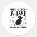 Search for rat stickers Rodent