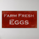 Search for chicken egg posters Farming