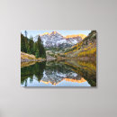 Search for aspen tree canvas prints Snow