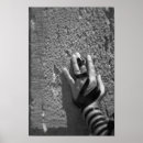 Search for kotel posters Western