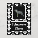 Search for schnauzers postcards Pets