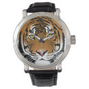 Search for cat lovers watches Animals