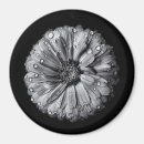 Search for shiny photography Macro