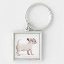 Search for stand as one key rings Nature