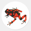 Search for tropical rainforest animals stickers Frog