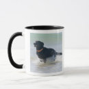 Search for cadiz mugs Horizontal