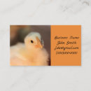 Search for too business cards Cute