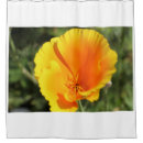 Search for california shower curtains Nature